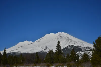 DSC_5895 (Large).JPG